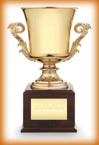 Pokal