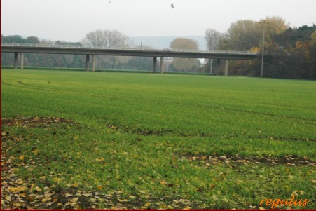 Bielefeld OB Pokal