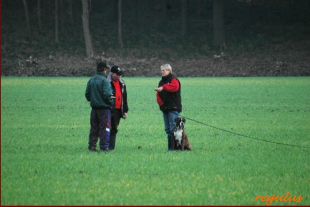 Bielefeld OB Pokal 