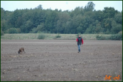 LAP in Oldenburg