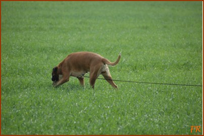 Lengerich April 2009