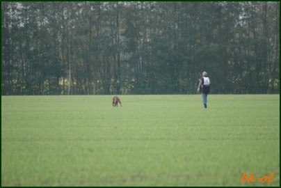 DM FH Lengerich