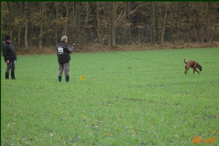 Nordseecup 2009
