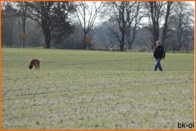 Oldenburg März 2009