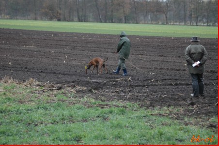 Oldenburg Nov. 2009